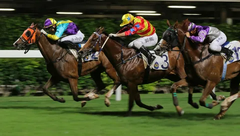 The Psychology Behind Betting on Horse Racing: How to Keep Your Cool