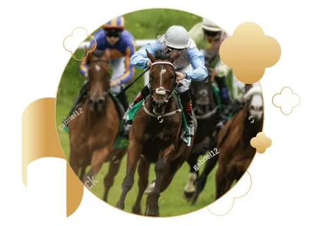 Where to Bet on Horse Racing Online: The Best Betting Sites Reviewed