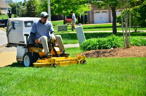 Top-Rated Yard Maintenance Near Me for a Perfect Lawn