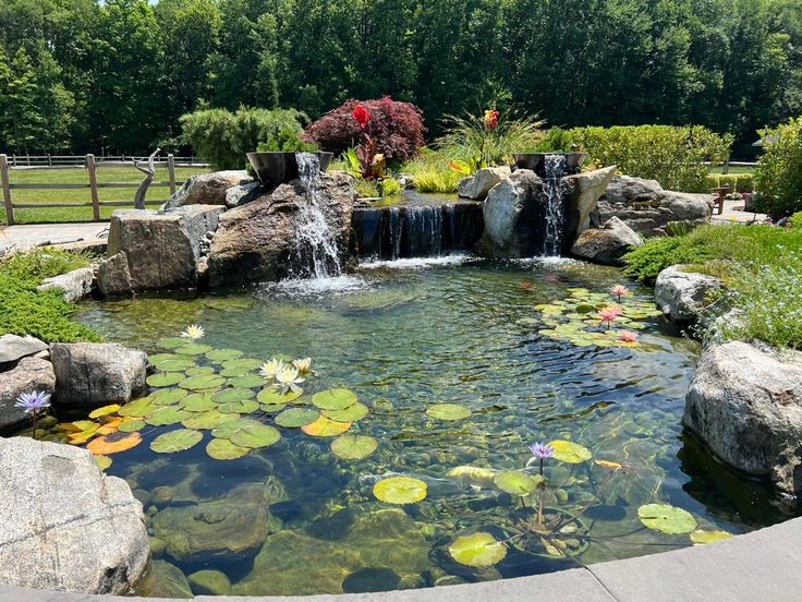 Trusted Pond Cleaning Experts in Sussex for Thriving Garden Ponds