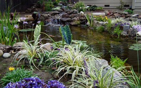 Maintain a Healthy and Clear Garden Pond in Kent